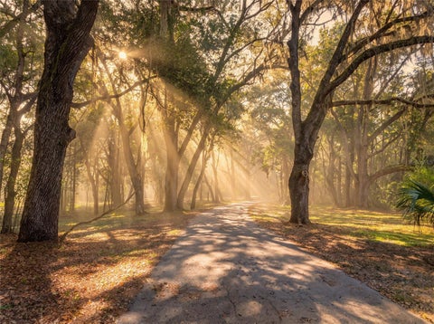 Tiny photo for 11795 SW Highway 484, Dunnellon, FL 34432 (MLS # O6423543)