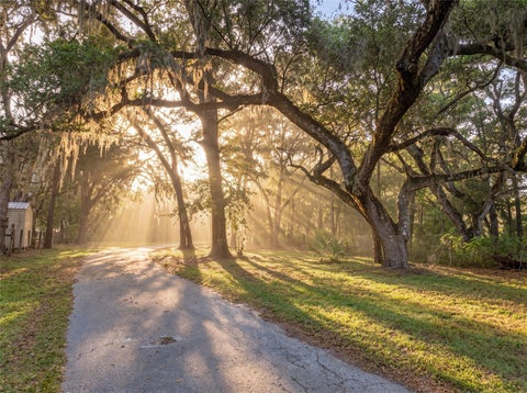 Tiny photo for 11795 SW Highway 484, Dunnellon, FL 34432 (MLS # O6423543)