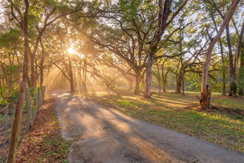 Tiny photo for 11795 SW Highway 484, Dunnellon, FL 34432 (MLS # O6423543)