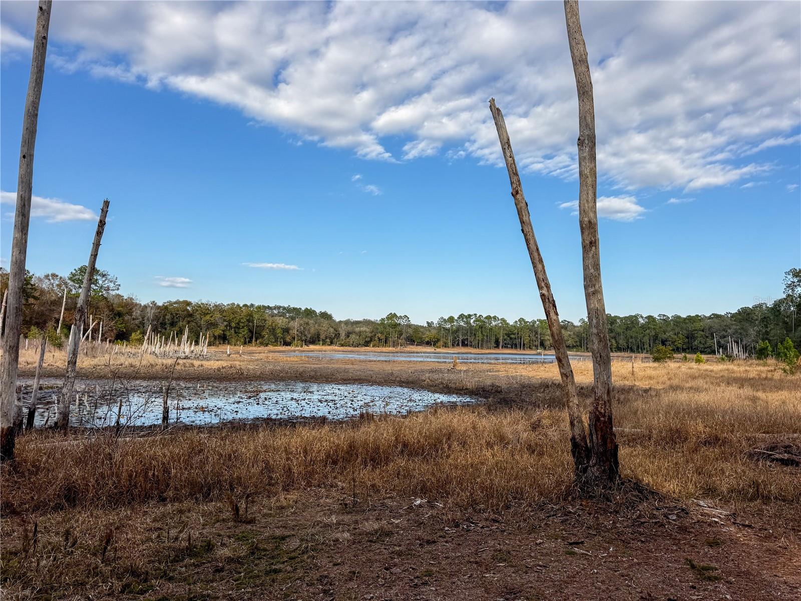 SWISHER LAKES III - Residential