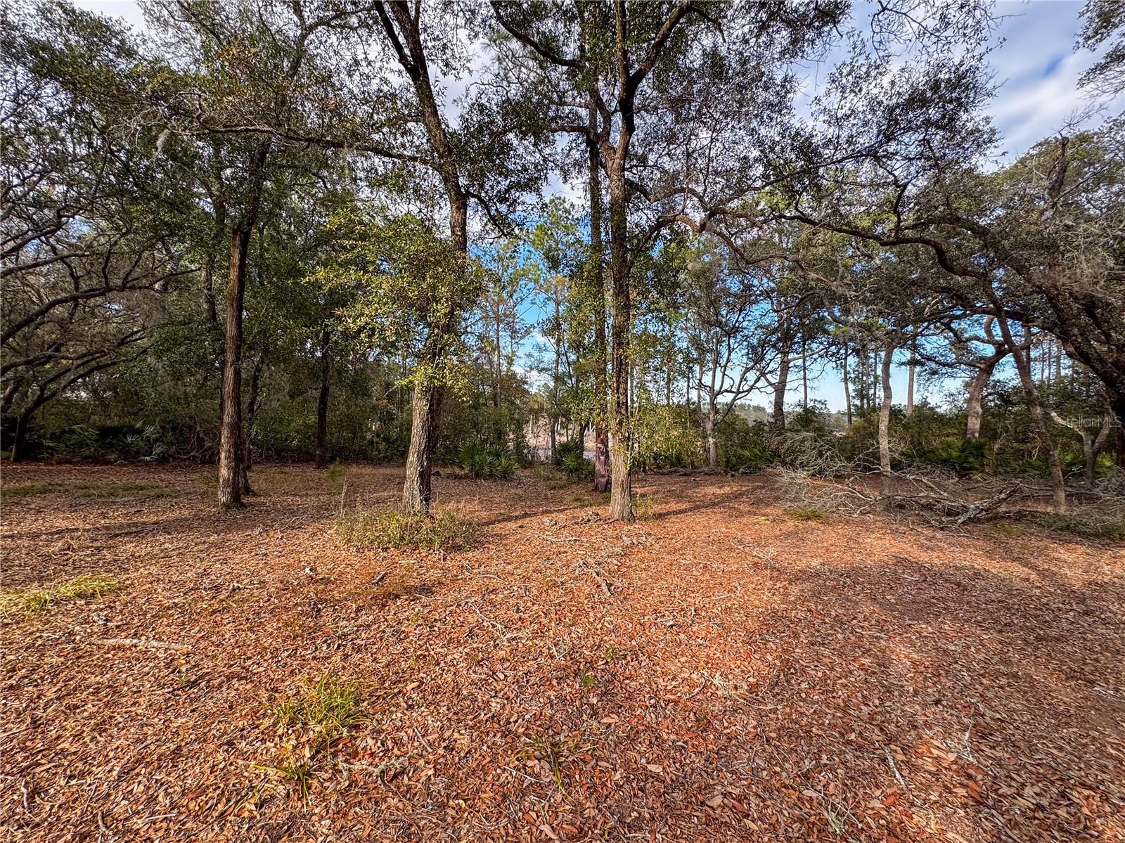 SWISHER LAKES III - Residential