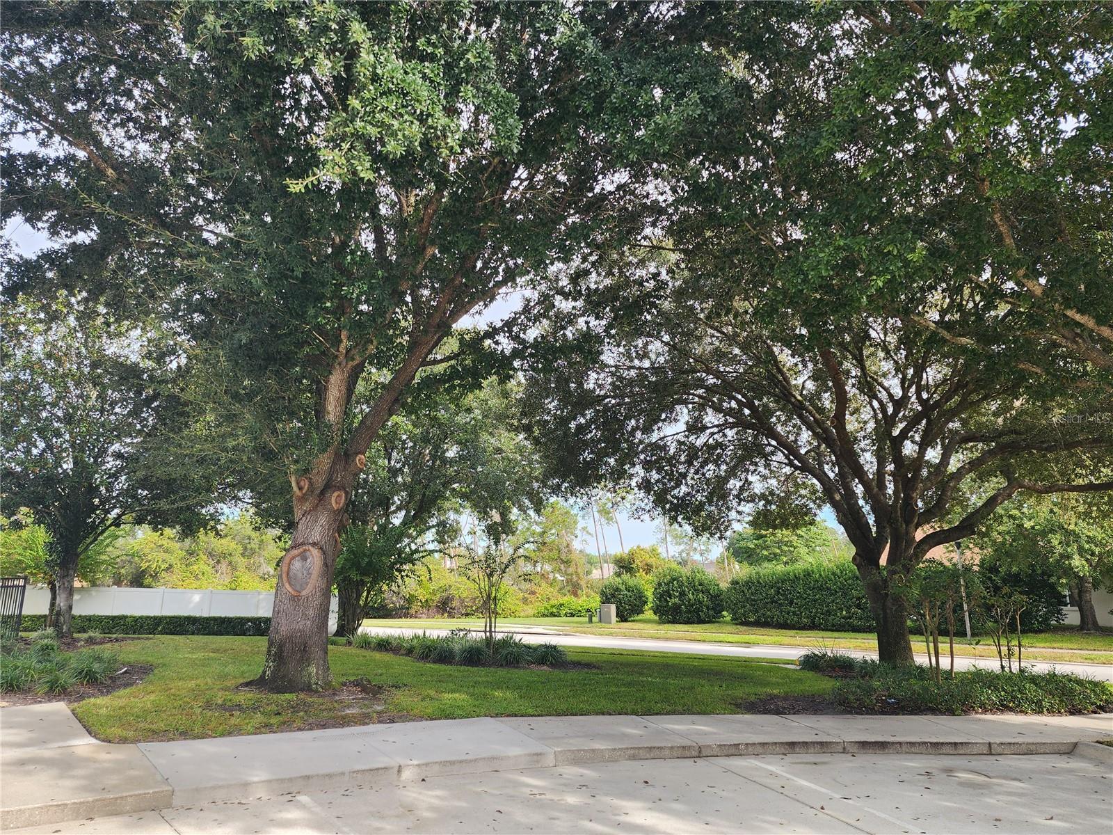 ARBOR RIDGE UNIT 04 - Residential