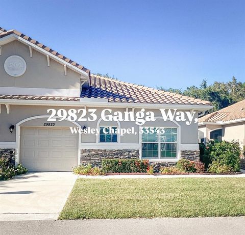29823 GANGA WAY WESLEY CHAPEL FL 33543