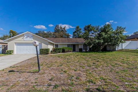 A home in DELTONA