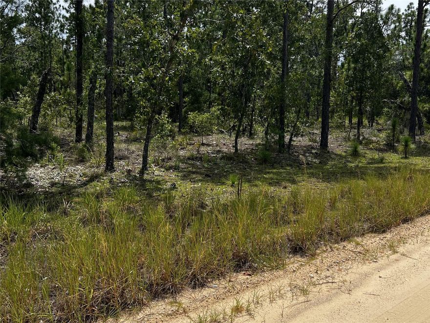 Discover the perfect blend of peace, privacy, and potential with this wooded lot in the heart of Hawthorne. Nestled in a quiet, natural setting, the property features an ideal spot to build your dream home or a weekend retreat. Located in a charming small-town community, you'll enjoy the warmth of local shops and a slower pace of life, all while being just 30 minutes from Gainesville—providing easy access to shopping, dining, and healthcare. Outdoor enthusiasts will love the proximity to nearby lakes, scenic trails, and abundant natural beauty. Whether you're ready to build now or planning for the future, this property offers a unique opportunity to create your own private haven while enjoying the best of both rural tranquility and city convenience.