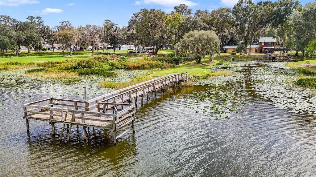 Photo of 4981 SE 180th Terrace, Ocklawaha, FL 32179 (MLS # O6355967)