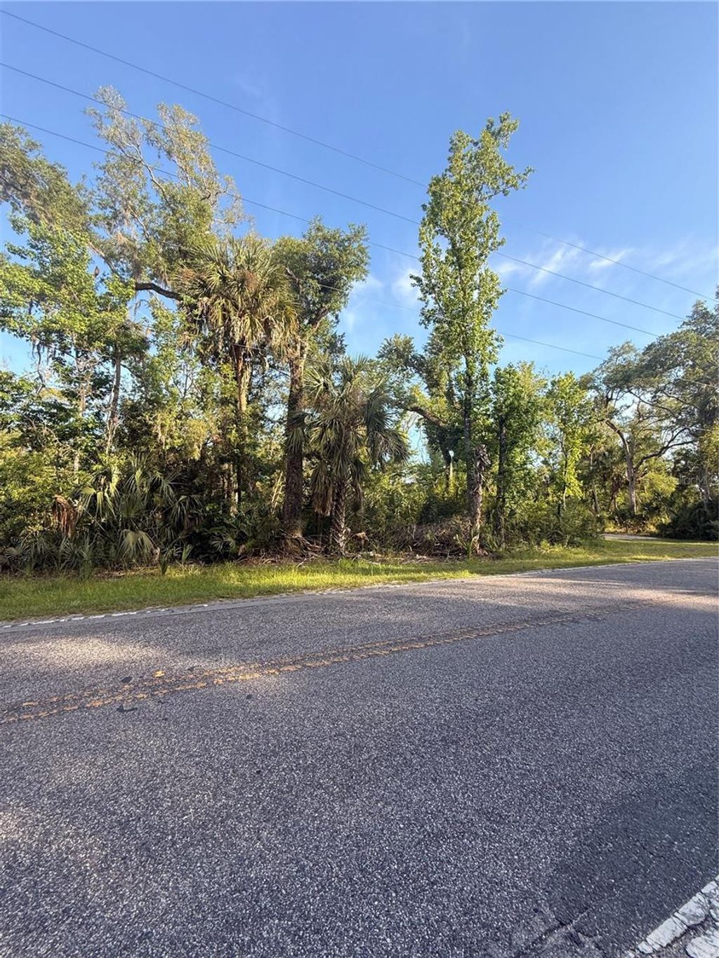 Photo of 10274 W Ozello Trail, Crystal River, FL 34429 (MLS # OM723579)