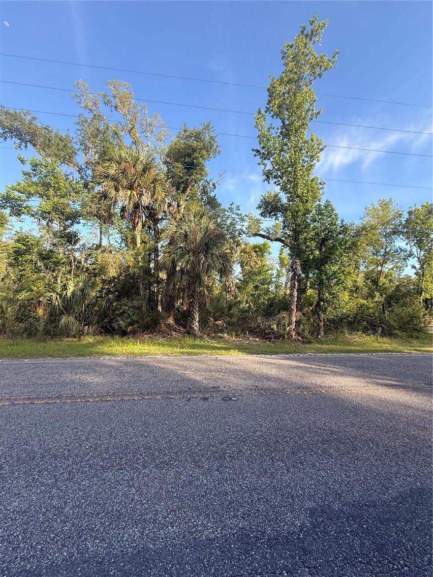 Welcome to this beautiful 1-acre homesite located in the highly desirable Ozello area of Crystal River, FL. This property offers the perfect opportunity to build your dream home in a peaceful, natural setting while still being conveniently located just a short drive from shopping, dining, and everyday necessities. Known for its Old Florida charm, Ozello is surrounded by scenic marshlands, coastal roads, and provides easy access to the Gulf, making it a prime location for boating, fishing, and outdoor enthusiasts. The area offers a quiet, private atmosphere while still being close to the amenities of Crystal River and other nearby towns. With plenty of space to build and no shortage of natural beauty, this property is ideal for a primary residence, vacation home, or investment opportunity. Don’t miss your chance to own land in one of the Nature Coast’s most sought-after locations.