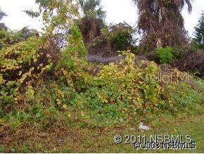 Florida Shores 01 - Land