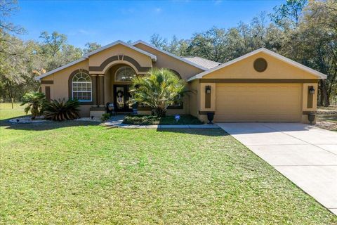 Tiny photo for 8583 N Tibet Terrace, Dunnellon, FL 34433 (MLS # OM719685)