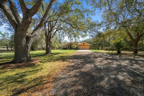 Tiny photo for 8583 N Tibet Terrace, Dunnellon, FL 34433 (MLS # OM719685)