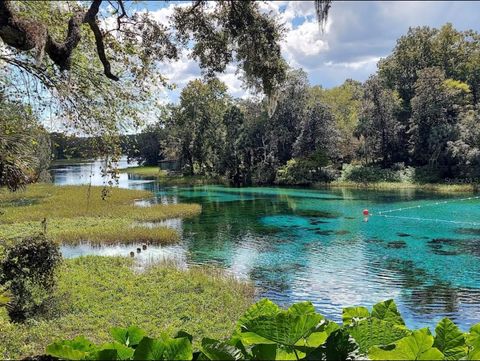 Tiny photo for 8583 N Tibet Terrace, Dunnellon, FL 34433 (MLS # OM719685)