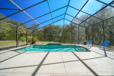 Tiny photo for 8583 N Tibet Terrace, Dunnellon, FL 34433 (MLS # OM719685)