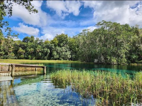 Tiny photo for 8583 N Tibet Terrace, Dunnellon, FL 34433 (MLS # OM719685)