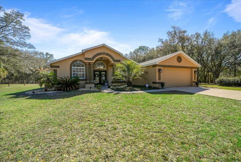 Photo of 8583 N Tibet Terrace, Dunnellon, FL 34433 (MLS # OM719685)