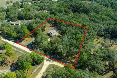 Tiny photo for 8583 N Tibet Terrace, Dunnellon, FL 34433 (MLS # OM719685)
