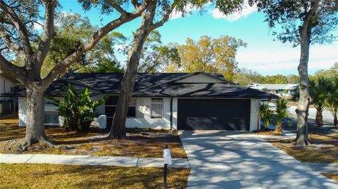 101 NESTLEBRANCH DRIVE SAFETY HARBOR FL 34695