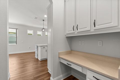 Tiny photo for 31992 Redtail Reserve Boulevard, Sorrento, FL 32776 (MLS # O6378203)