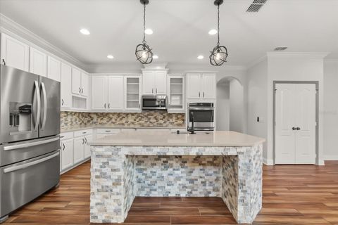 Tiny photo for 31992 Redtail Reserve Boulevard, Sorrento, FL 32776 (MLS # O6378203)