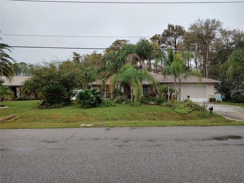 A home in PALM COAST