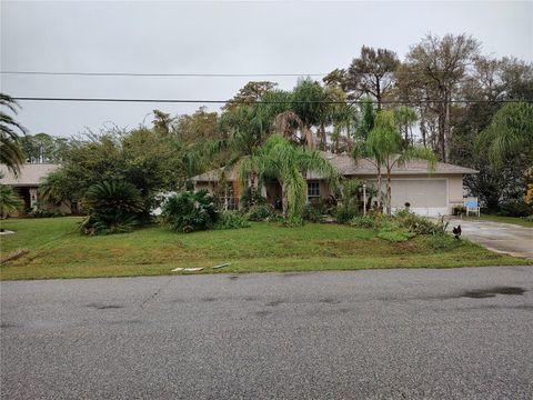 A home in PALM COAST