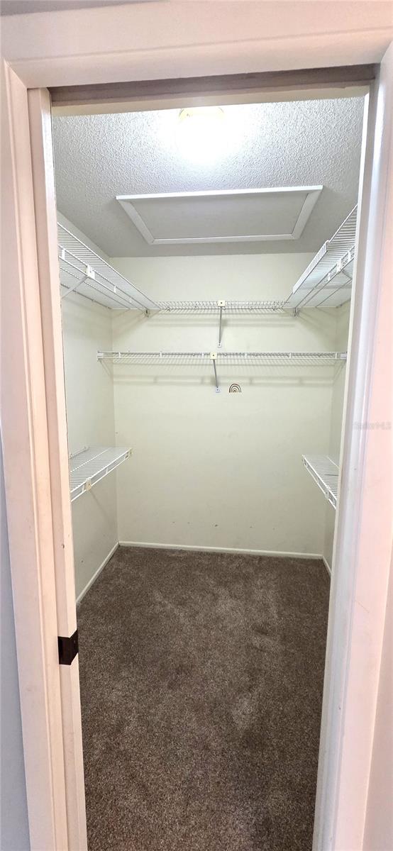 GOLF HAMMOCK - Residential