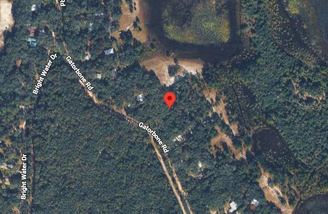 7033 GATORBONE ROAD