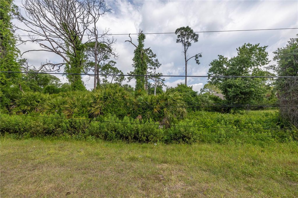 Photo of De Leon Drive, North Port, FL 34287 (MLS # A4677595)
