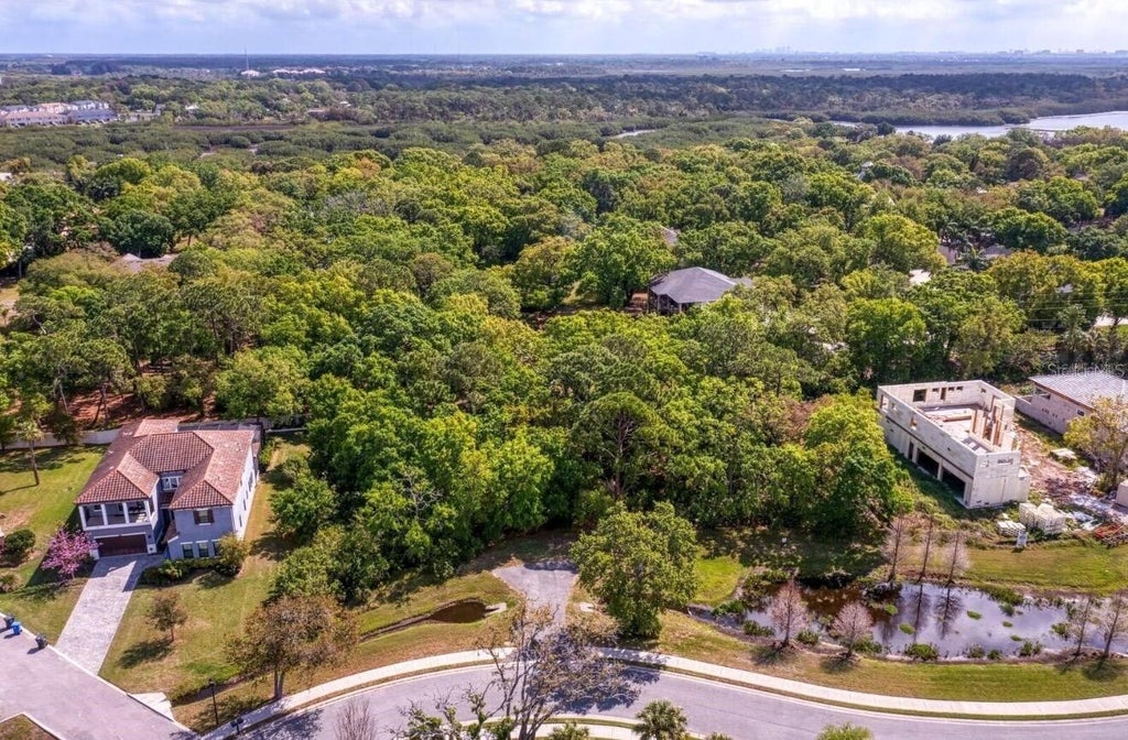 Photo of 7849 Marsh Pointe Drive, Tampa, FL 33635 (MLS # O6432643)