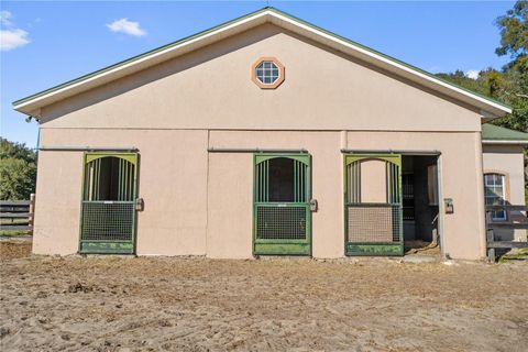 Tiny photo for 15995 NW 10th Circle, Citra, FL 32113 (MLS # G5107400)