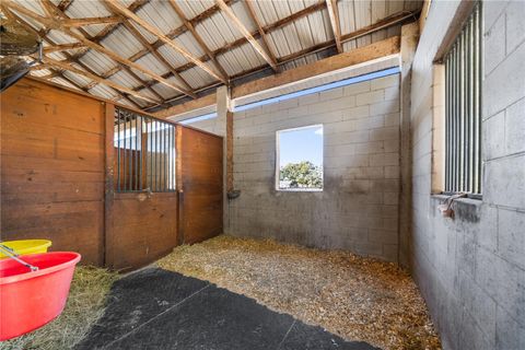 Tiny photo for 15995 NW 10th Circle, Citra, FL 32113 (MLS # G5107400)