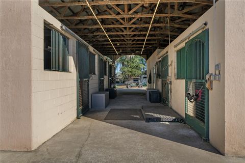 Tiny photo for 15995 NW 10th Circle, Citra, FL 32113 (MLS # G5107400)