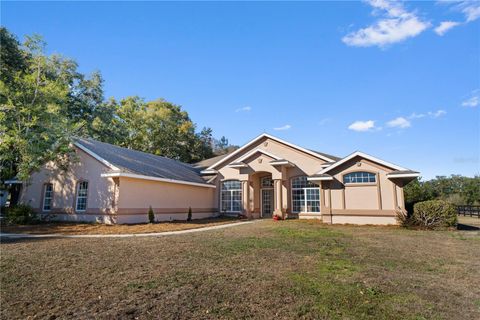 Photo of 15995 NW 10th Circle, Citra, FL 32113 (MLS # G5107400)