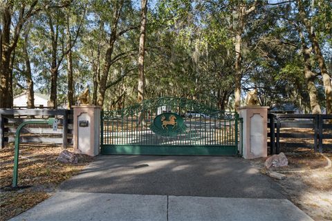 Tiny photo for 15995 NW 10th Circle, Citra, FL 32113 (MLS # G5107400)