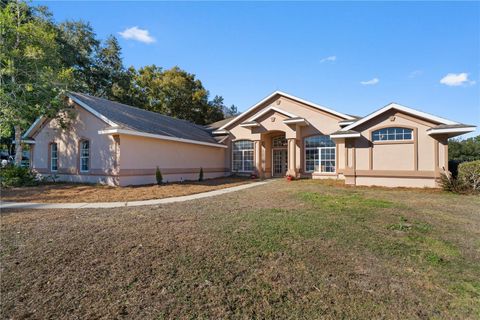 Tiny photo for 15995 NW 10th Circle, Citra, FL 32113 (MLS # G5107400)