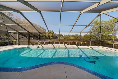 Tiny photo for 15995 NW 10th Circle, Citra, FL 32113 (MLS # G5107400)