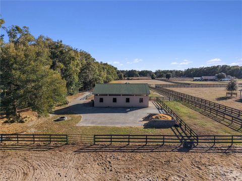 Tiny photo for 15995 NW 10th Circle, Citra, FL 32113 (MLS # G5107400)