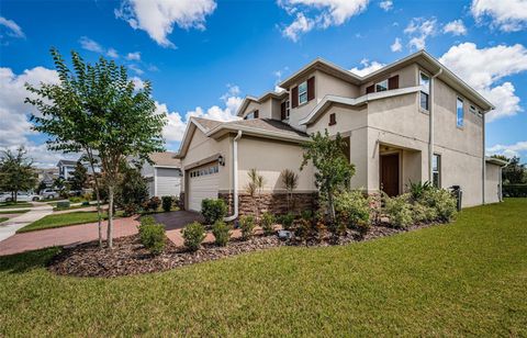 A home in APOLLO BEACH