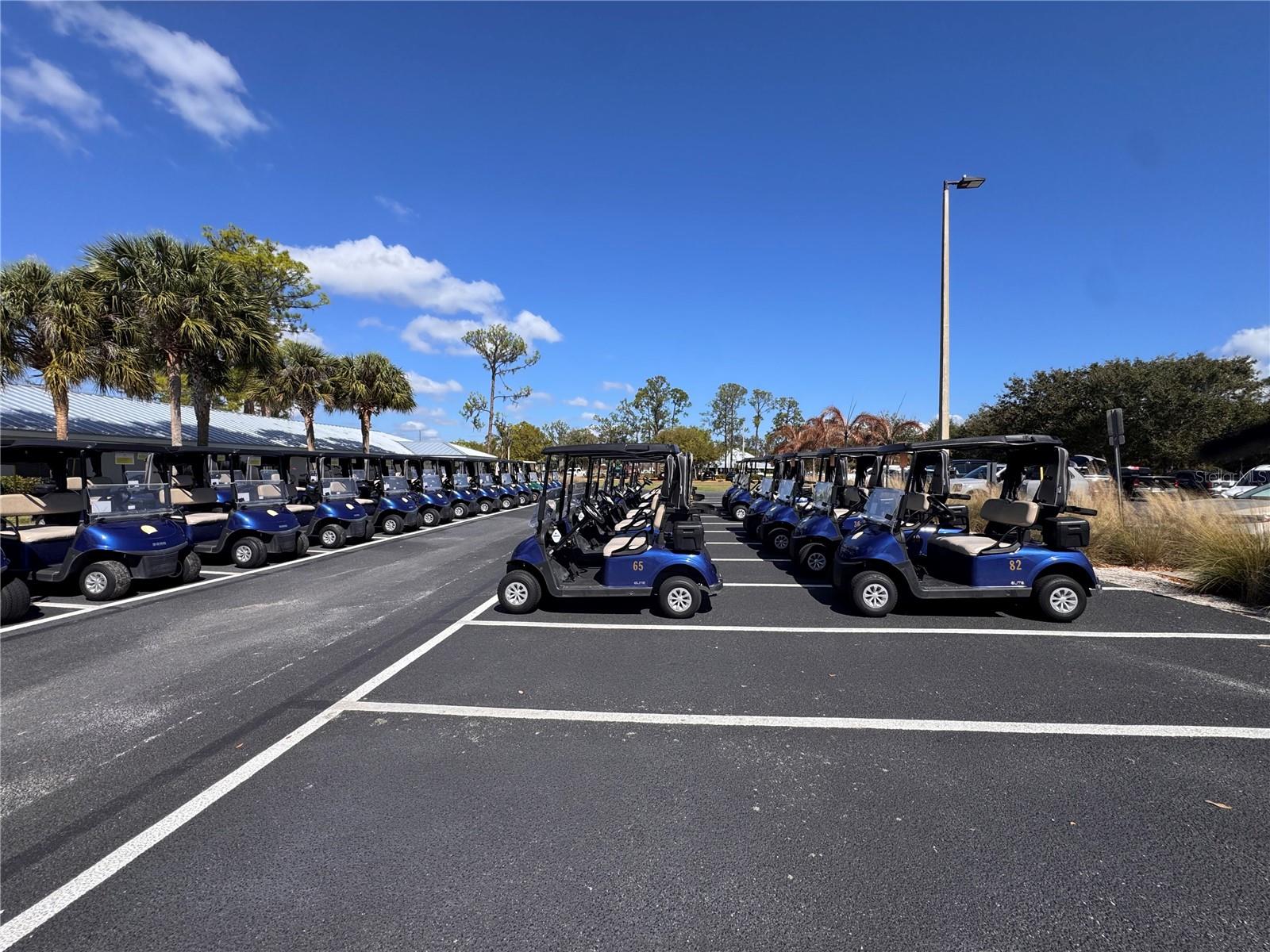 SUN N LAKE - Residential