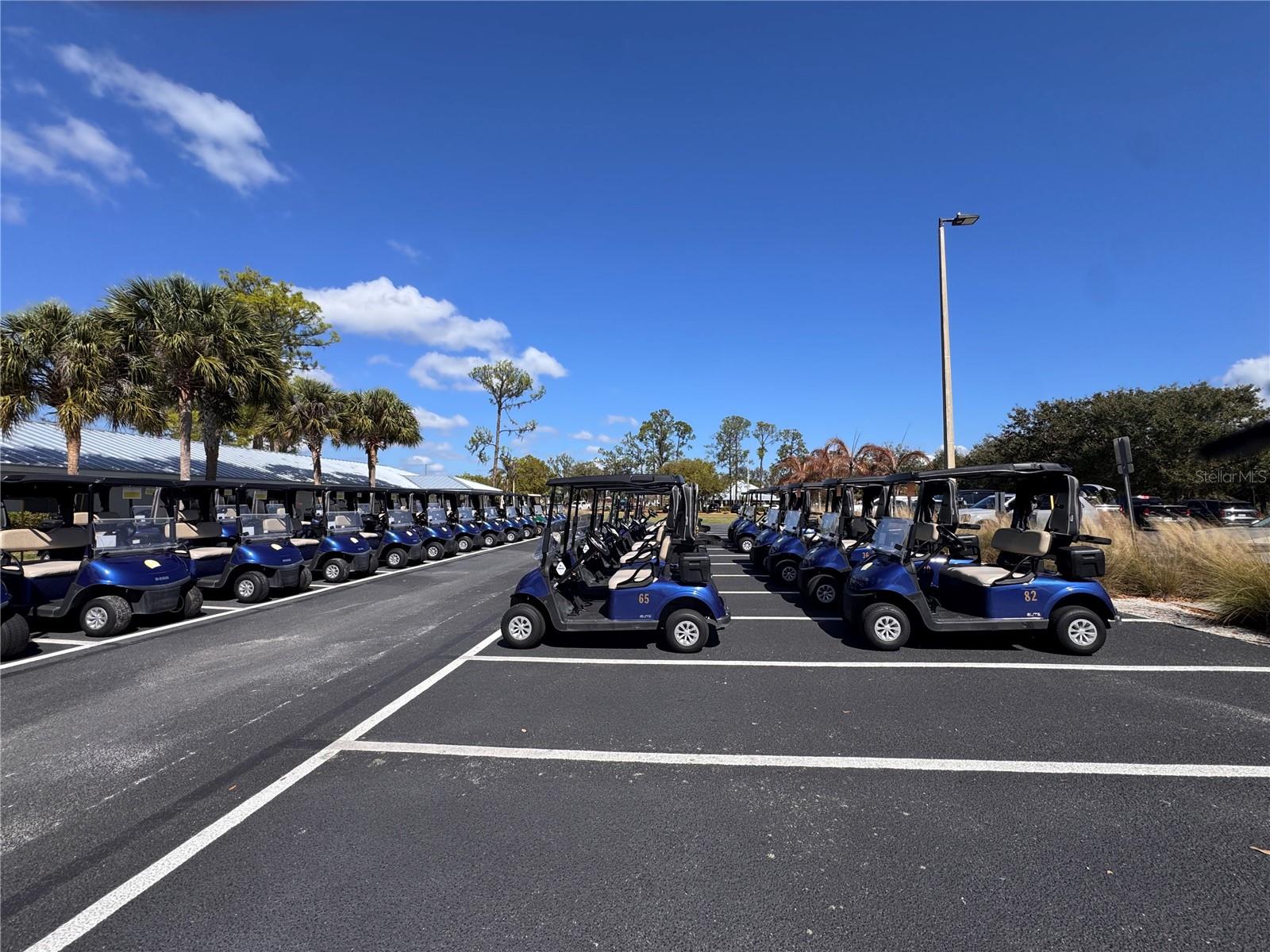 SUN N LAKE - Residential