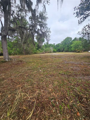 CULVER WAY, GENEVA, FL 32732 - Image 3da90f122dc12bcd55c0766659babbbf/3318263328