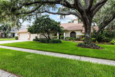 Photo of 2555 Mason Oaks Drive, Valrico, FL 33596 (MLS # TB8514701)