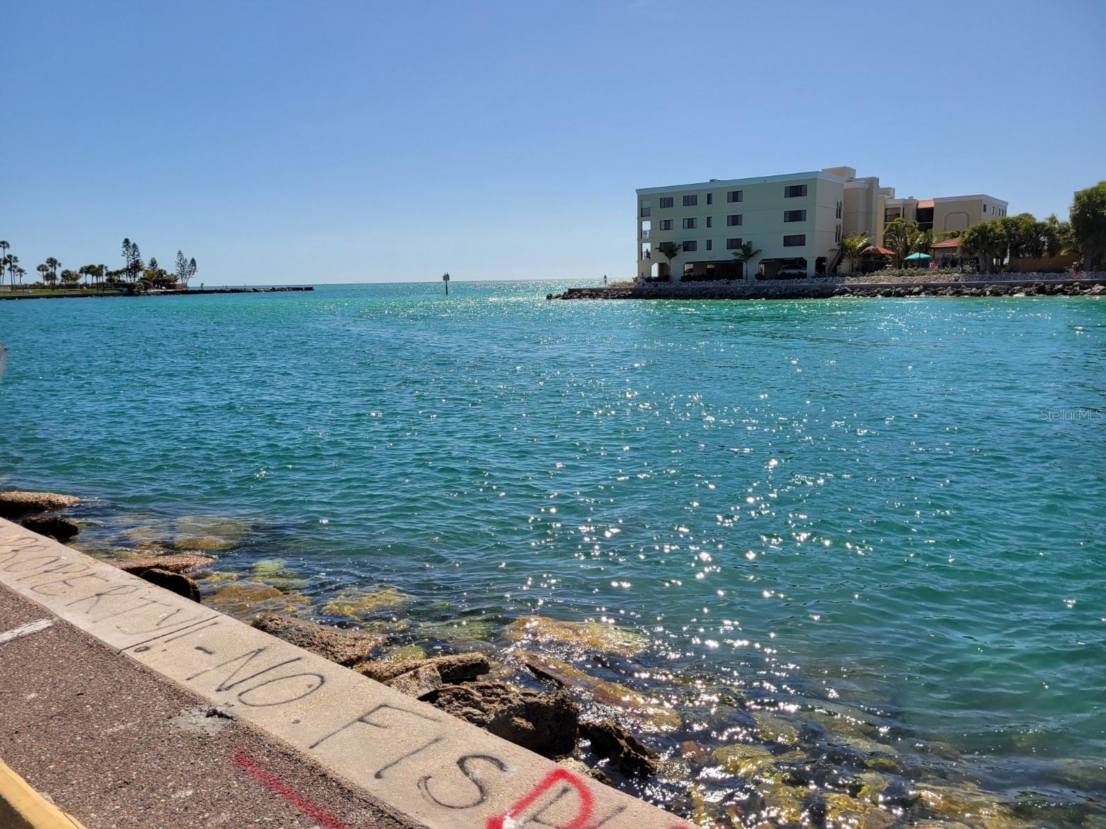 ST PETERSBURG BEACH REP - Residential Lease