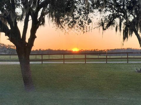 Tiny photo for 12651 SE County Road 337, Dunnellon, FL 34431 (MLS # OM704516)