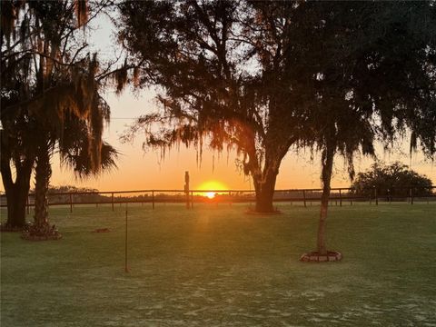 Tiny photo for 12651 SE County Road 337, Dunnellon, FL 34431 (MLS # OM704516)