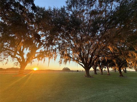 Tiny photo for 12651 SE County Road 337, Dunnellon, FL 34431 (MLS # OM704516)