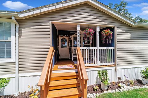 Tiny photo for 12651 SE County Road 337, Dunnellon, FL 34431 (MLS # OM704516)