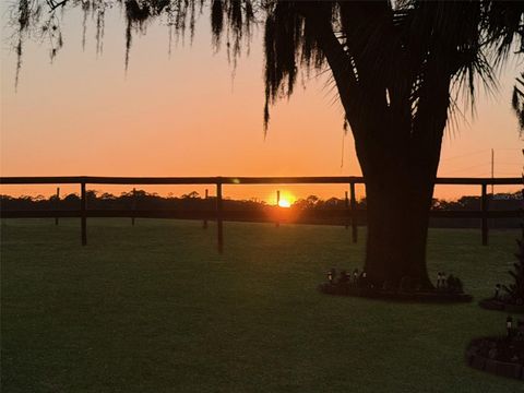 Tiny photo for 12651 SE County Road 337, Dunnellon, FL 34431 (MLS # OM704516)