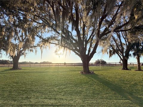 Tiny photo for 12651 SE County Road 337, Dunnellon, FL 34431 (MLS # OM704516)