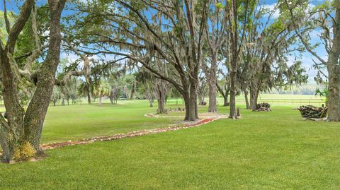 Tiny photo for 12651 SE County Road 337, Dunnellon, FL 34431 (MLS # OM704516)
